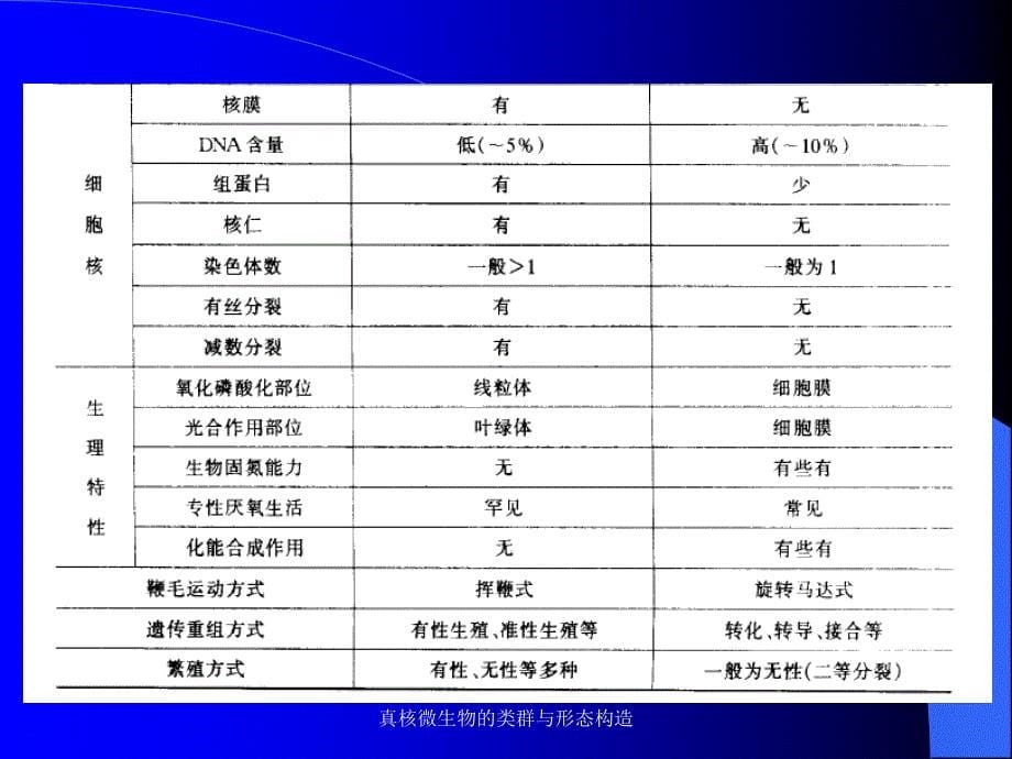 真核微生物的类群与形态构造课件_第5页