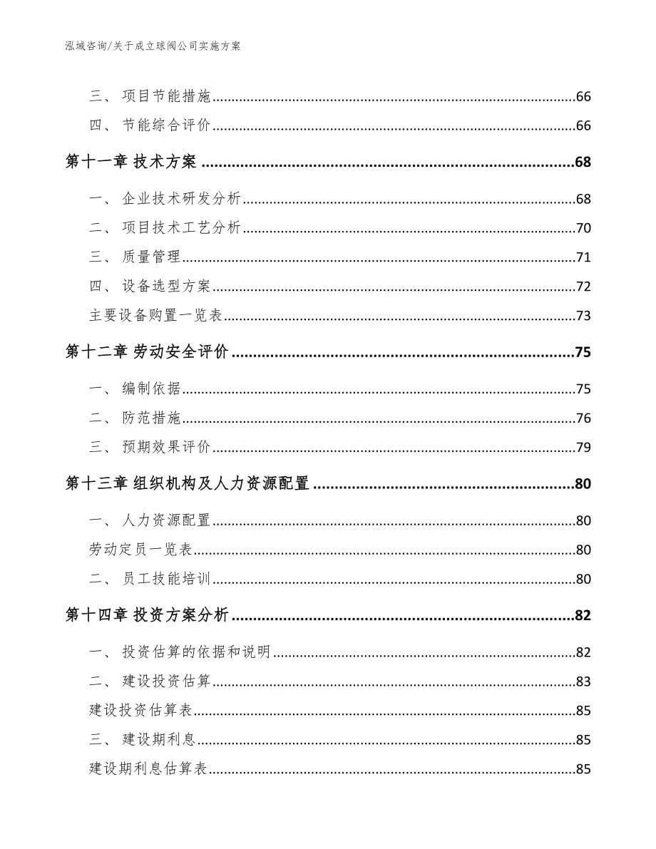 关于成立球阀公司实施方案范文模板_第5页