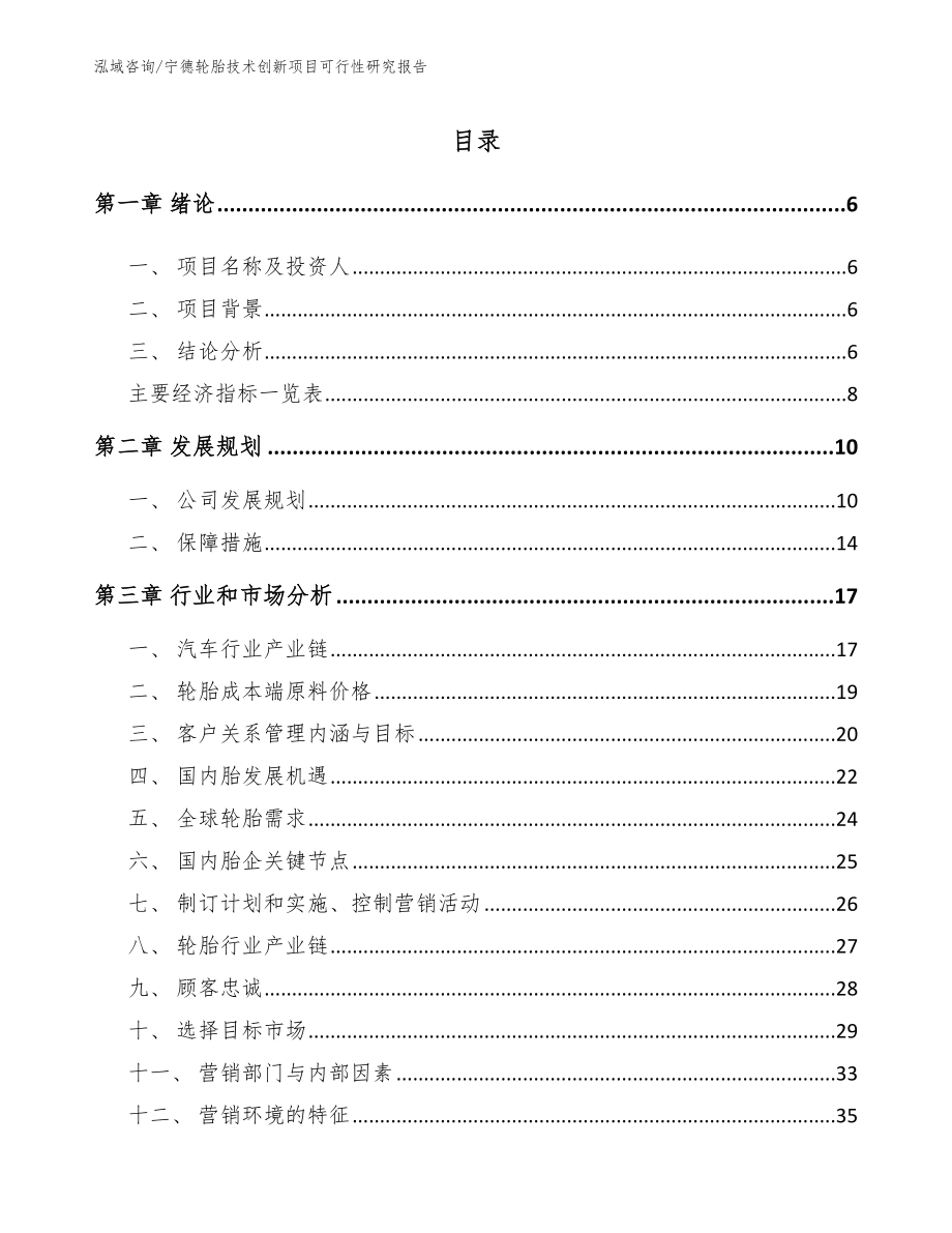 宁德轮胎技术创新项目可行性研究报告_第1页