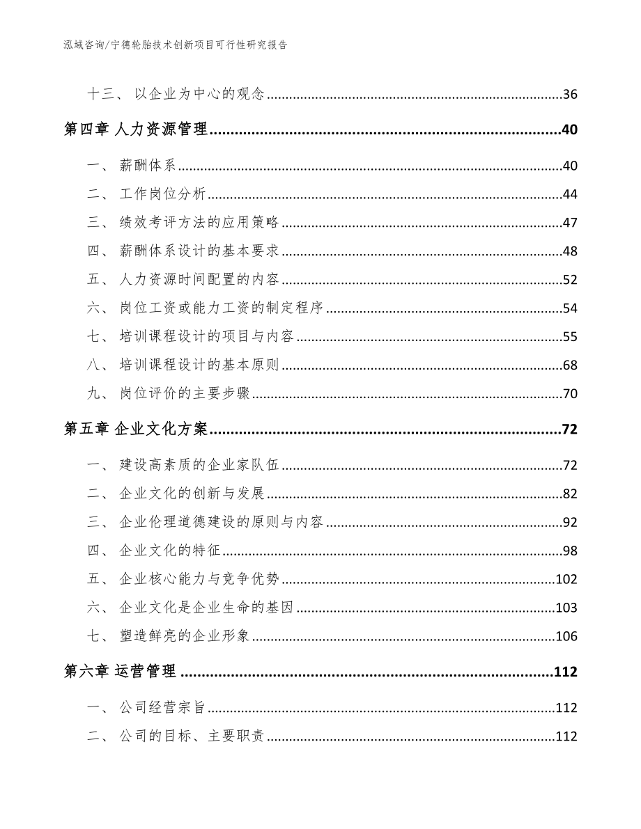 宁德轮胎技术创新项目可行性研究报告_第2页