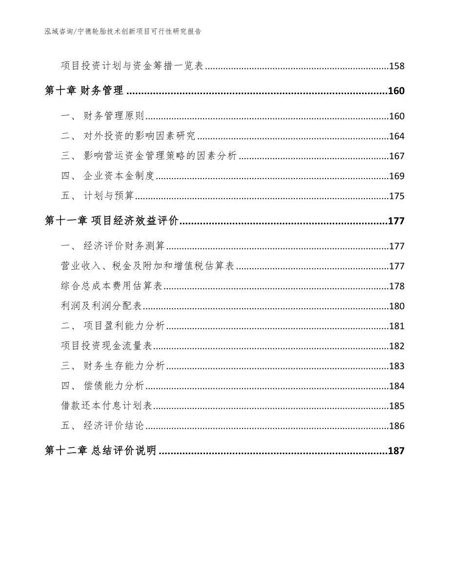 宁德轮胎技术创新项目可行性研究报告_第4页