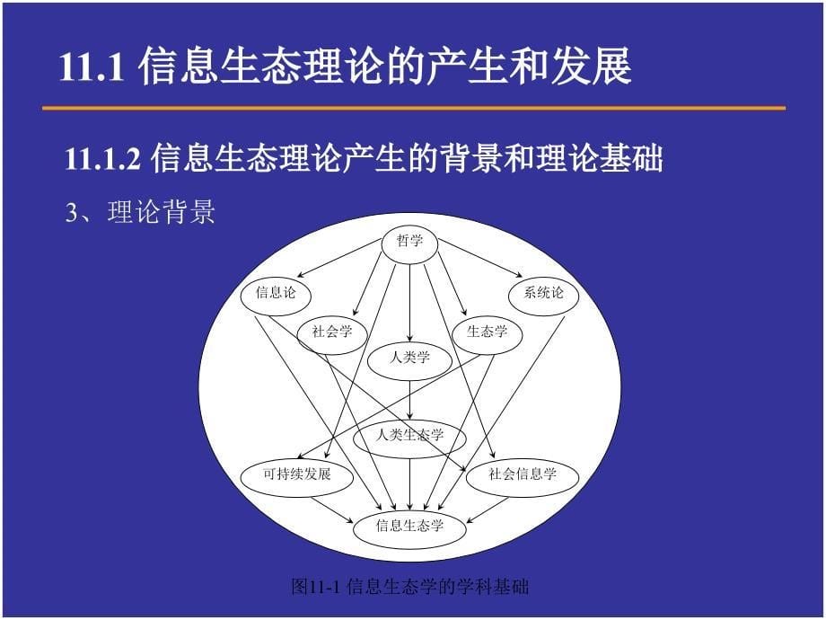 情报科学的信息生态理论_第5页