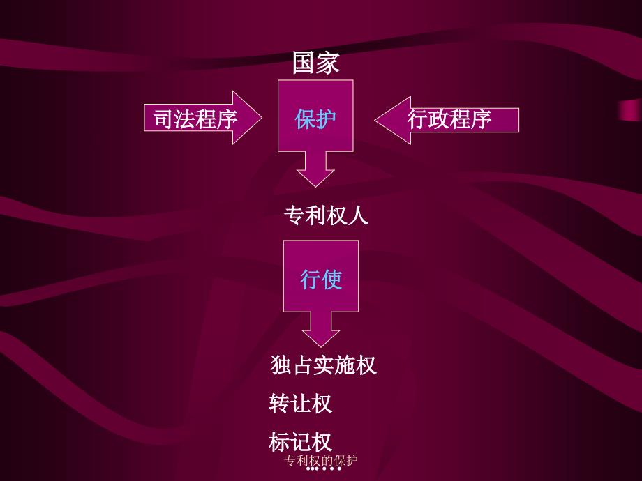 专利权的保护课件_第4页