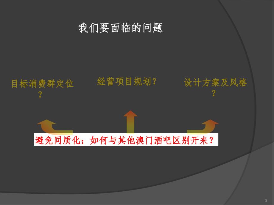 酒吧经营投资策划书PPT精选文档_第3页