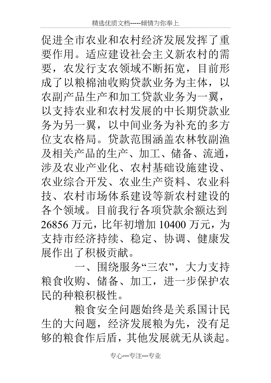 农发行工作总结_第2页