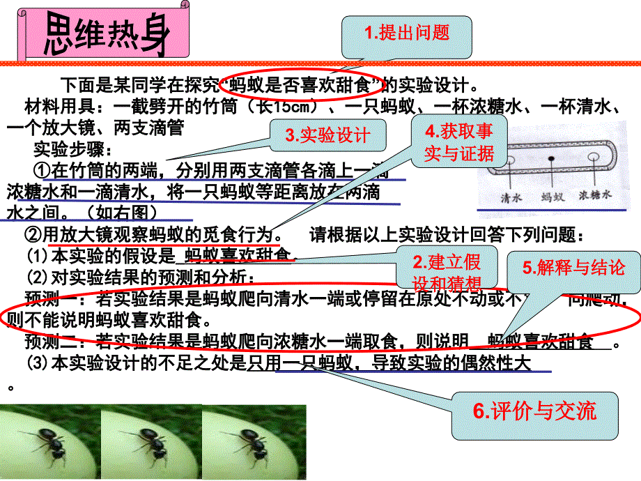 浙教版七年级上册科学：第5节-科学探究课件_第3页