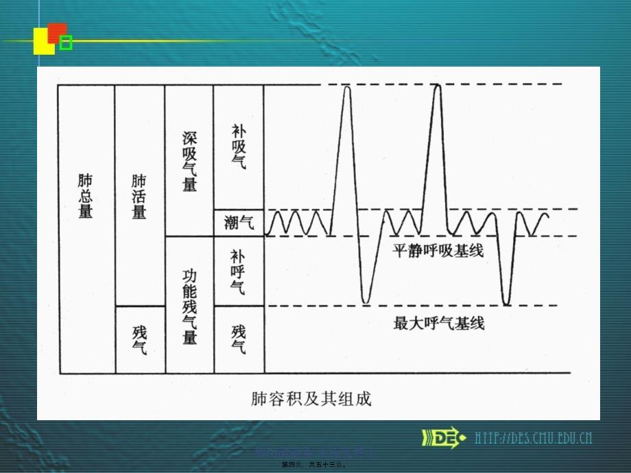 肺功能检查王先化博士课件_第4页