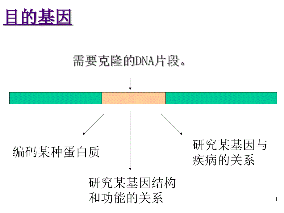 目的基因的制备基因文库法_第1页