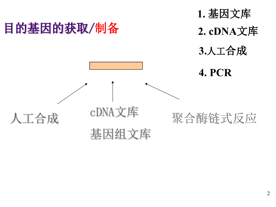 目的基因的制备基因文库法_第2页