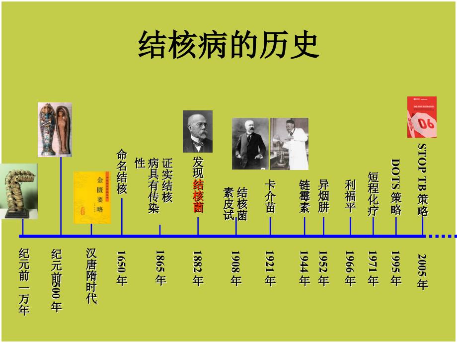 卡介苗接种培训ppt课件_第2页