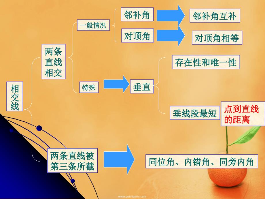 51相交线的复习课_第2页