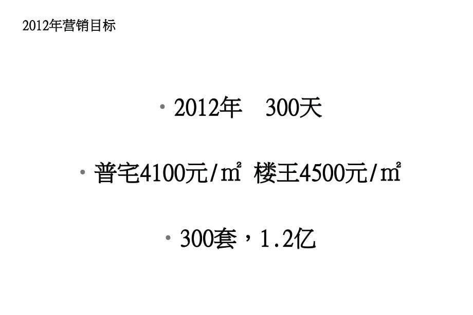 四川安岳星之城营销策略报告100页_第5页