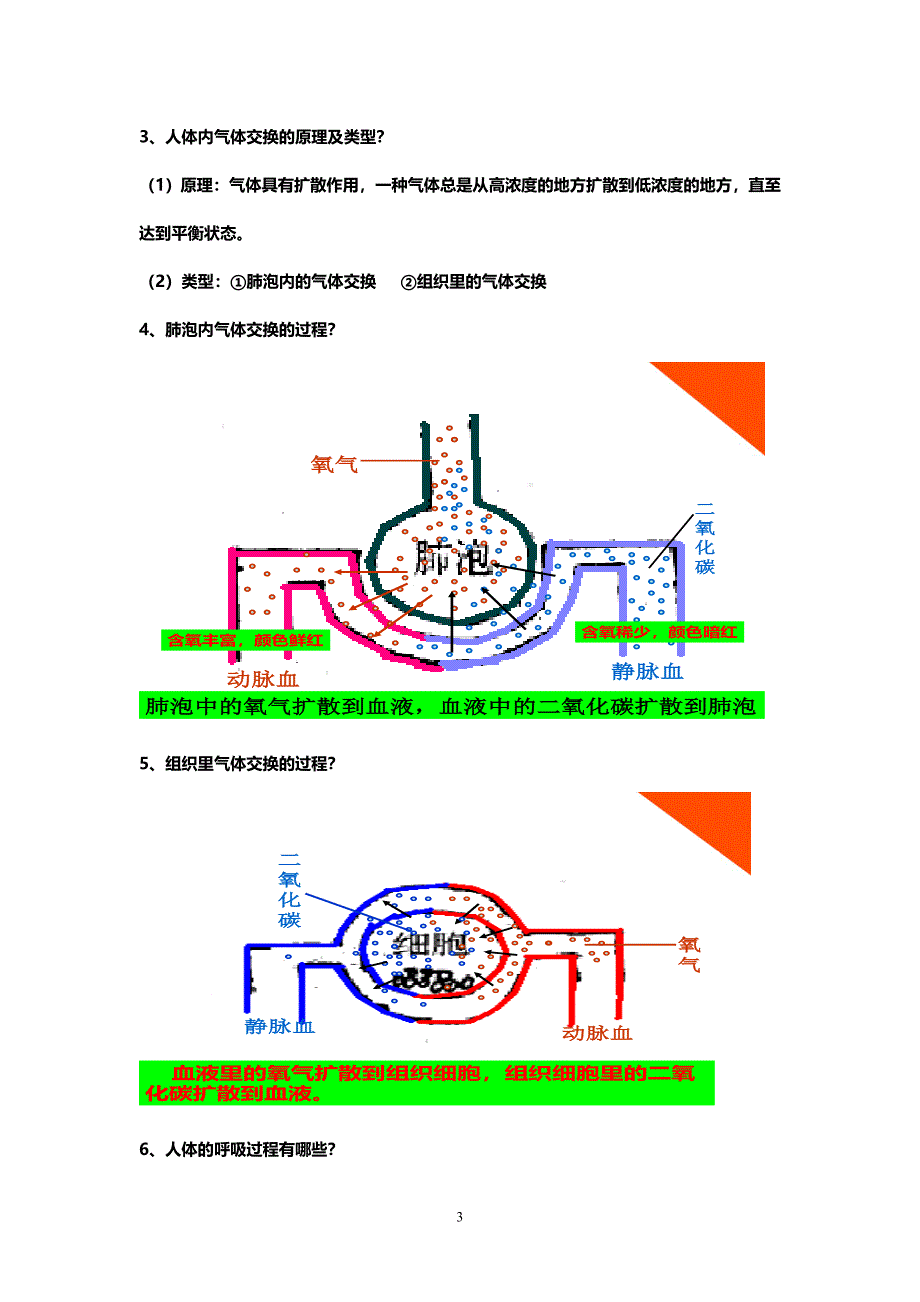 生物七年级下册第3单元第2章重要知识点.doc_第3页