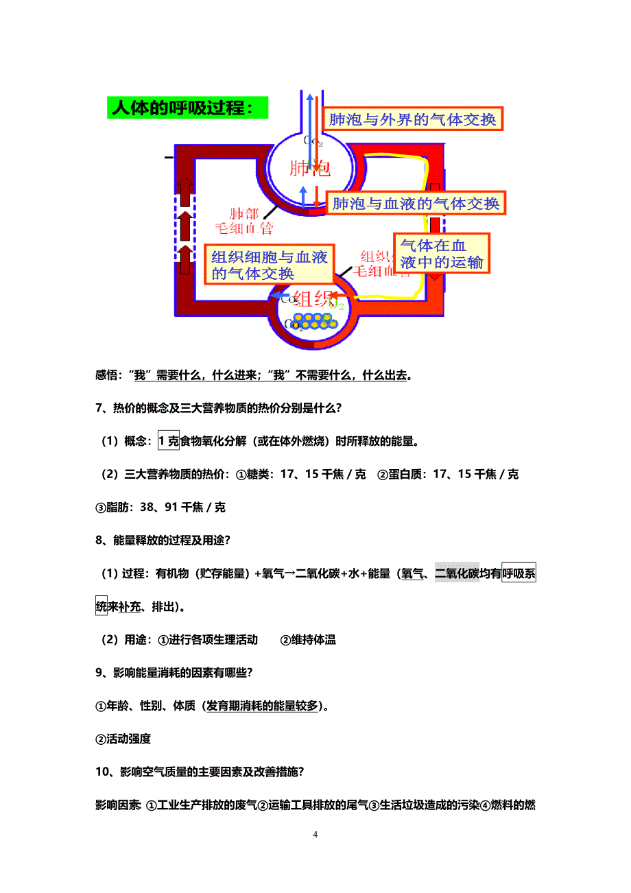 生物七年级下册第3单元第2章重要知识点.doc_第4页