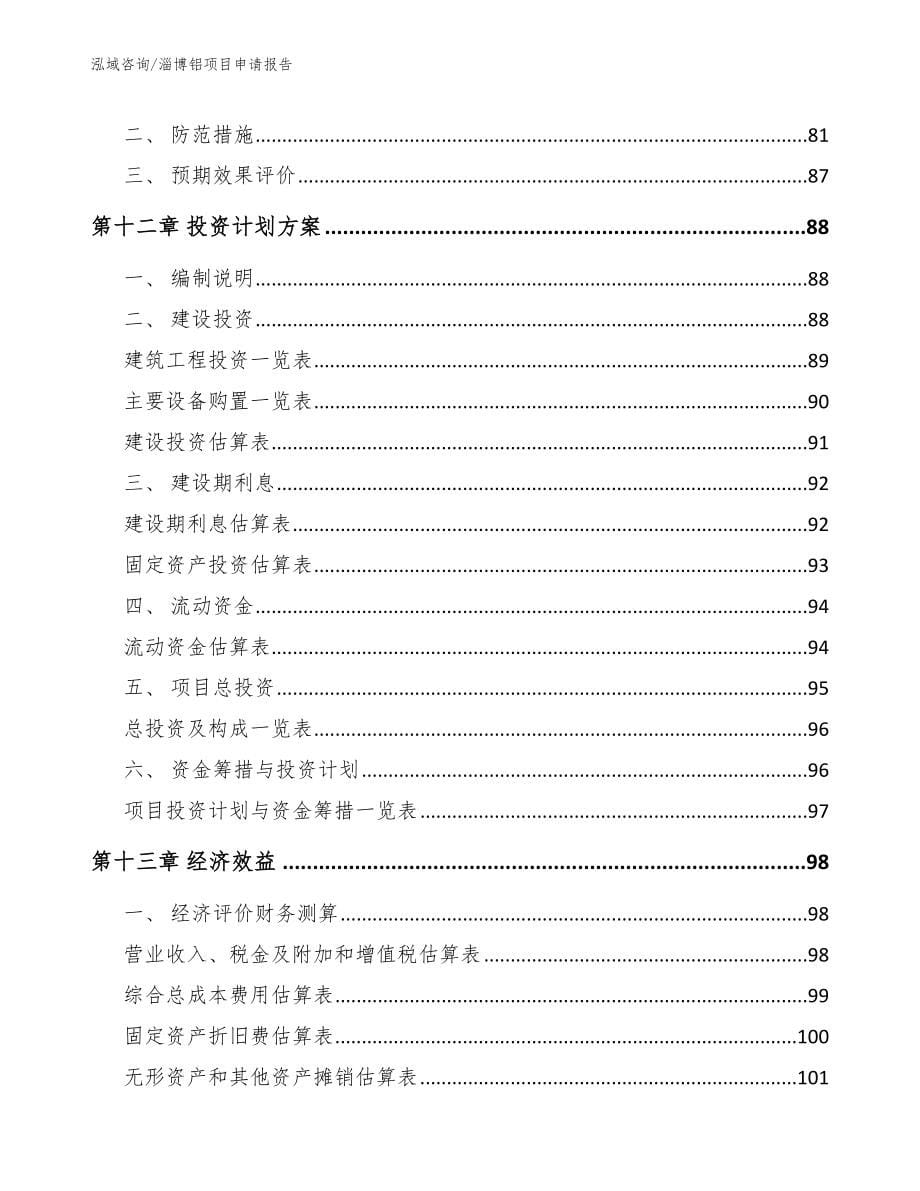 淄博铝项目申请报告_第5页