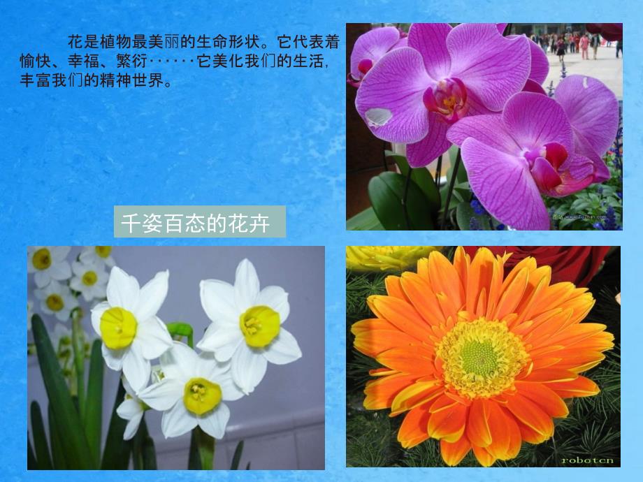 粉印木刻版画系列之花卉静物魅力ppt课件_第2页