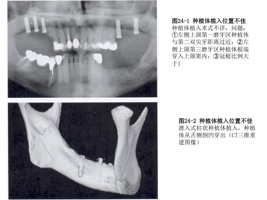 第二十四章ppt课件_第4页