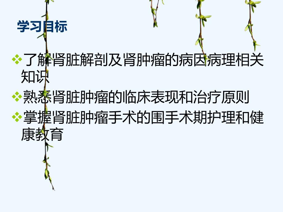 肾肿瘤的治疗与护理.ppt医学课件_第2页