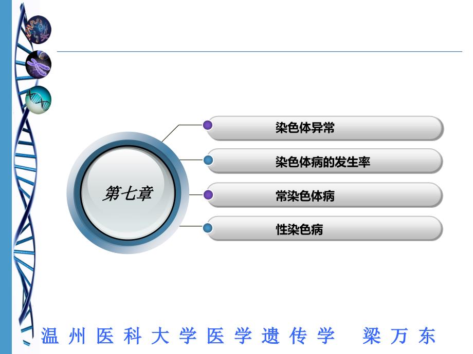 医学遗传学：第7章人类染色体病_第2页