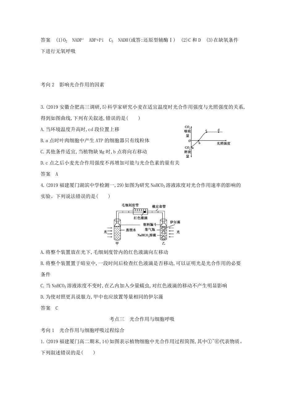 2021高考生物一轮复习专题6光合作用精练含解析_第5页