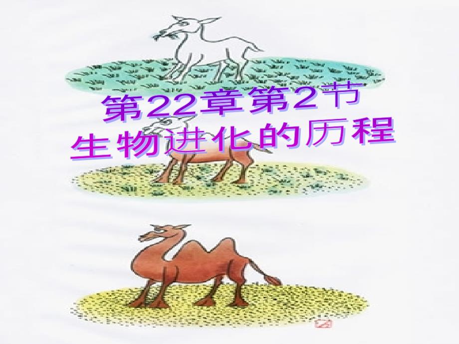 生物是如何演变的历程.ppt_第1页