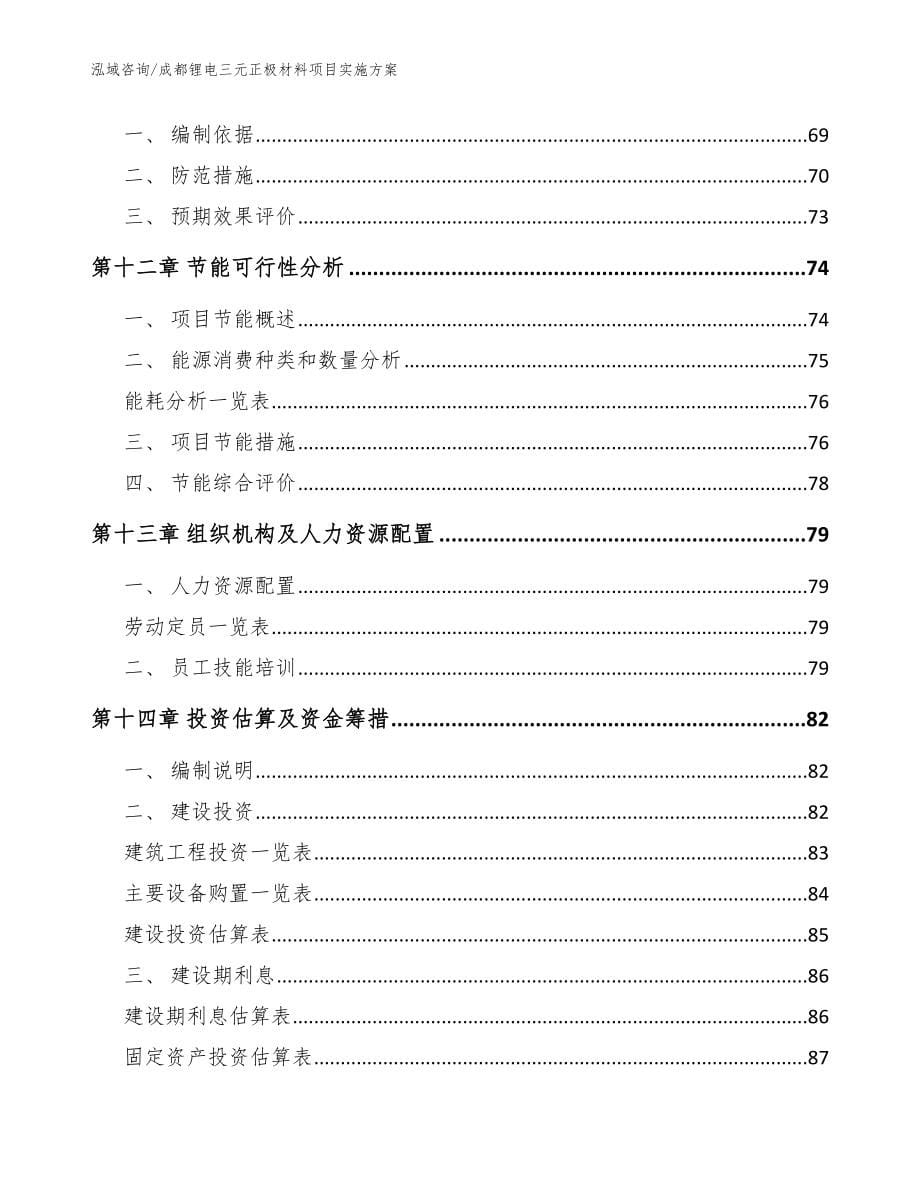 成都锂电三元正极材料项目实施方案参考模板_第5页