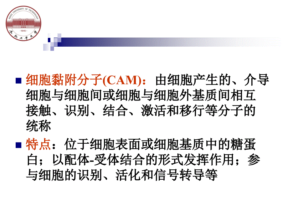 白细胞的活化与迁移.ppt_第4页