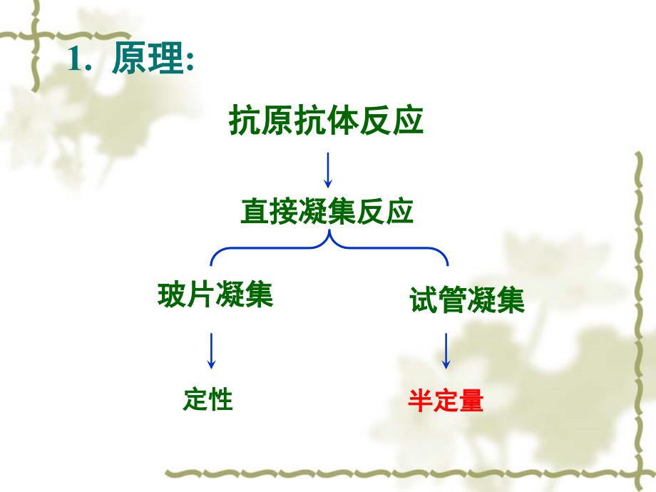 实验二抗体制备和凝集反应沉淀反应_第3页