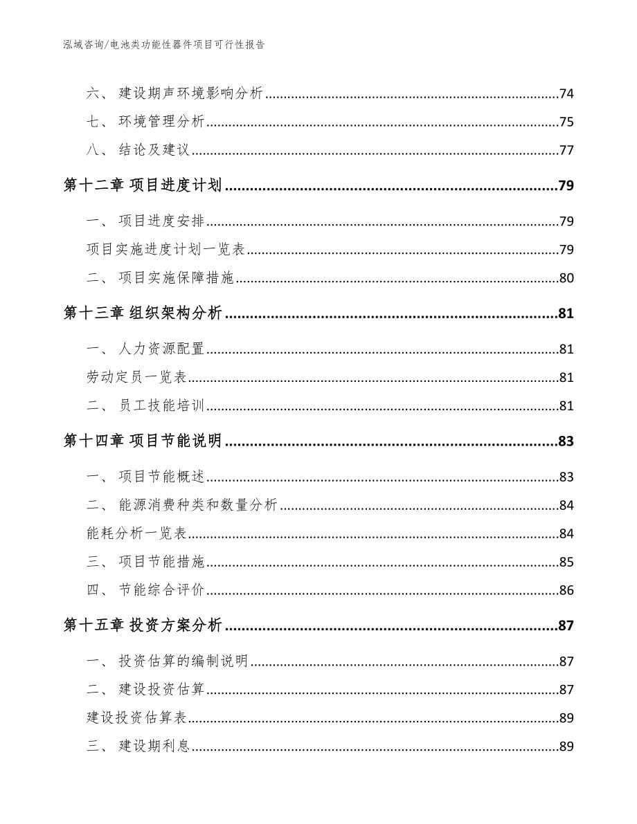 电池类功能性器件项目可行性报告参考模板_第5页