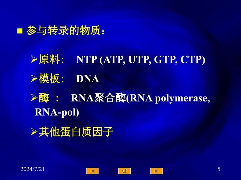 RNA转录PPT课件_第5页