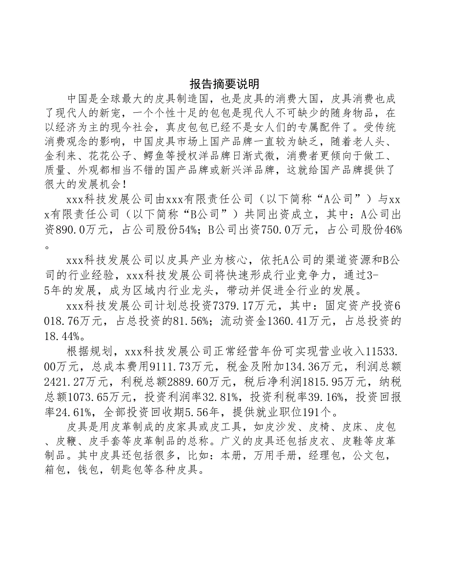 某关于成立皮具生产制造公司报告(DOC 43页)_第2页