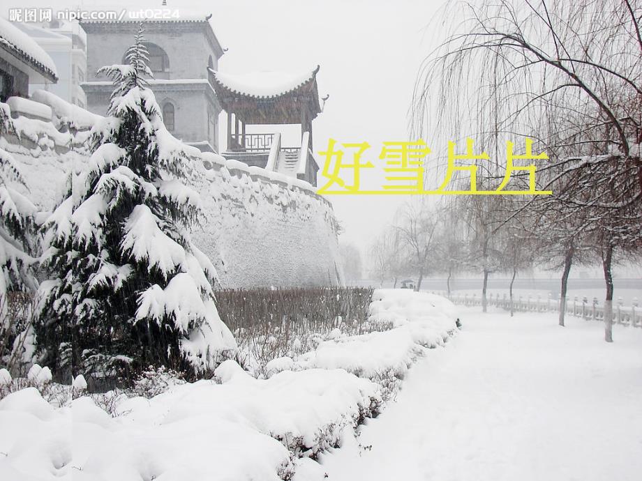 05林清玄《好雪片片》_第1页