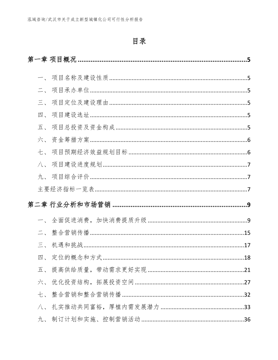 武汉市关于成立新型城镇化公司可行性分析报告（模板范文）_第1页