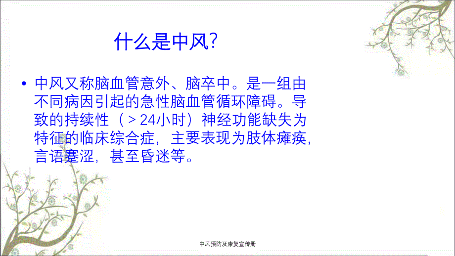 中风预防及康复宣传册_第2页