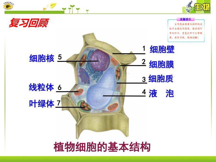 第三节动物细胞_第3页