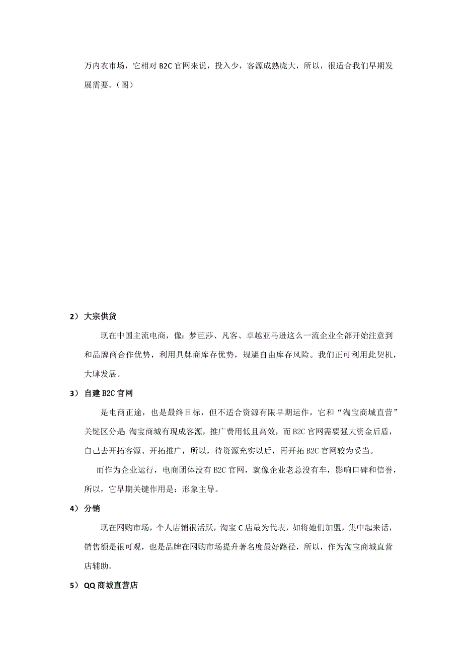 传统企业之电子商务运营专项方案.docx_第4页