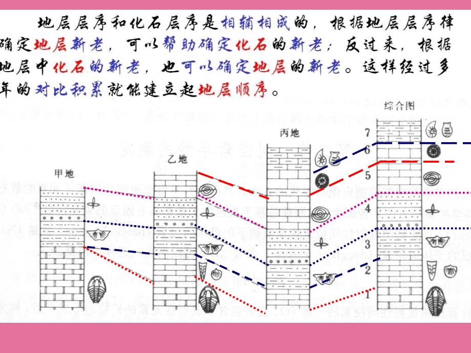 石油地质学第三章地层与沉积相ppt课件_第4页