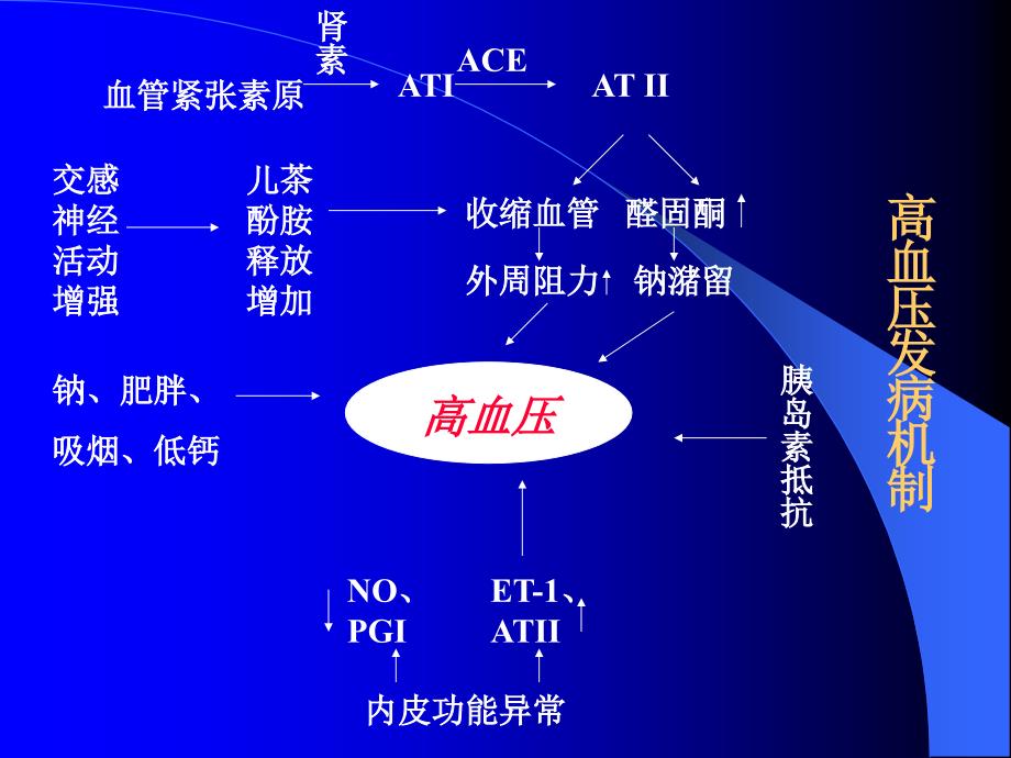 提高班原发性高血压陈建英_第4页