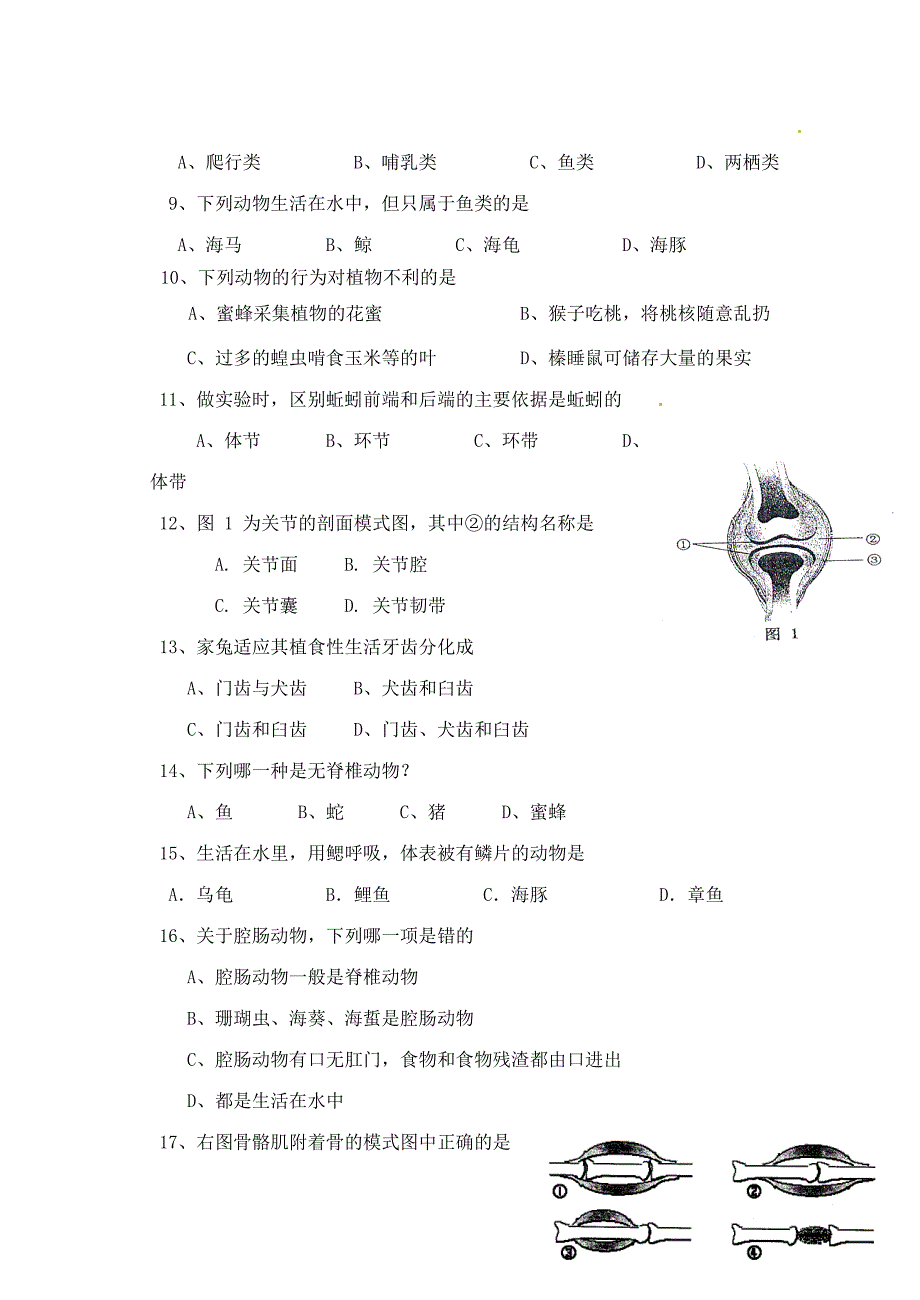 精选类山东省泰安市202x八年级生物期中学业水平测试试题_第2页