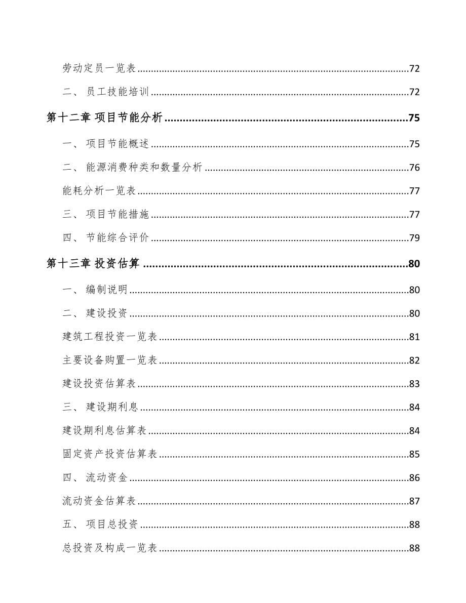 河南微特电机项目可行性研究报告_第5页