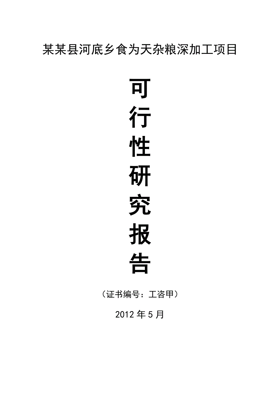 某某县河底乡食为天杂粮深加工项目可行研究报告_第1页