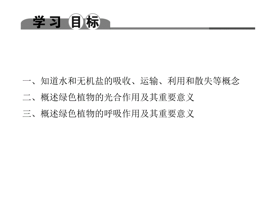 绿色植物的新陈代谢_第2页