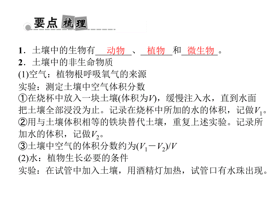 绿色植物的新陈代谢_第4页