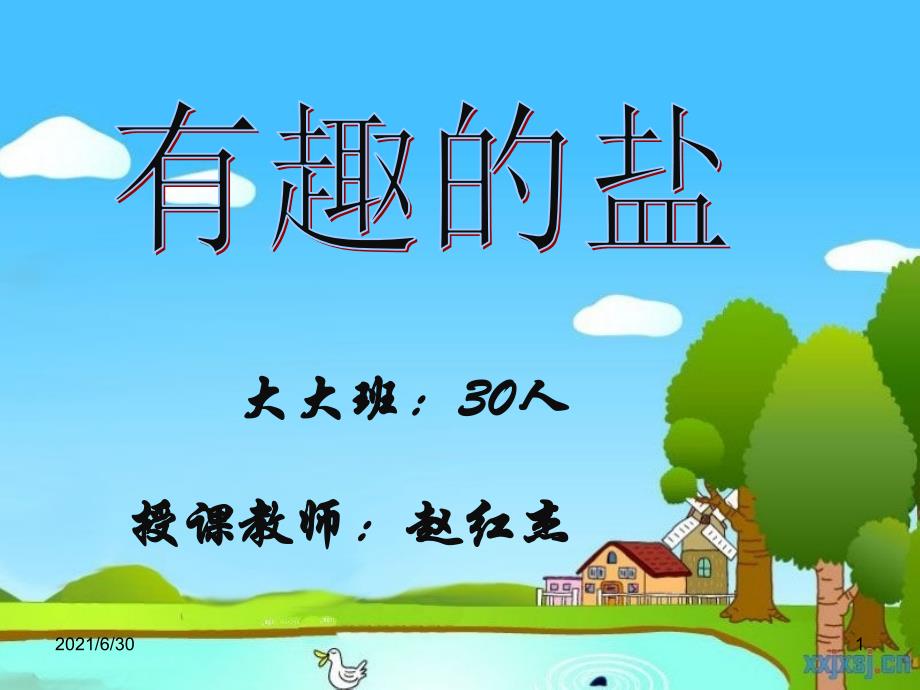 科学有趣的盐 ppt_第1页