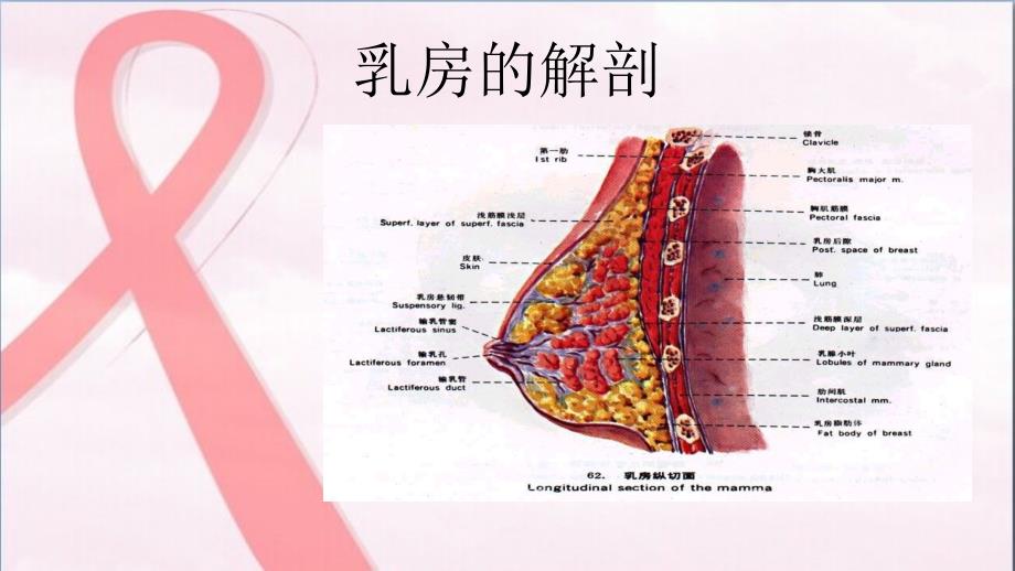 《乳腺癌护理查房》PPT课件_第4页