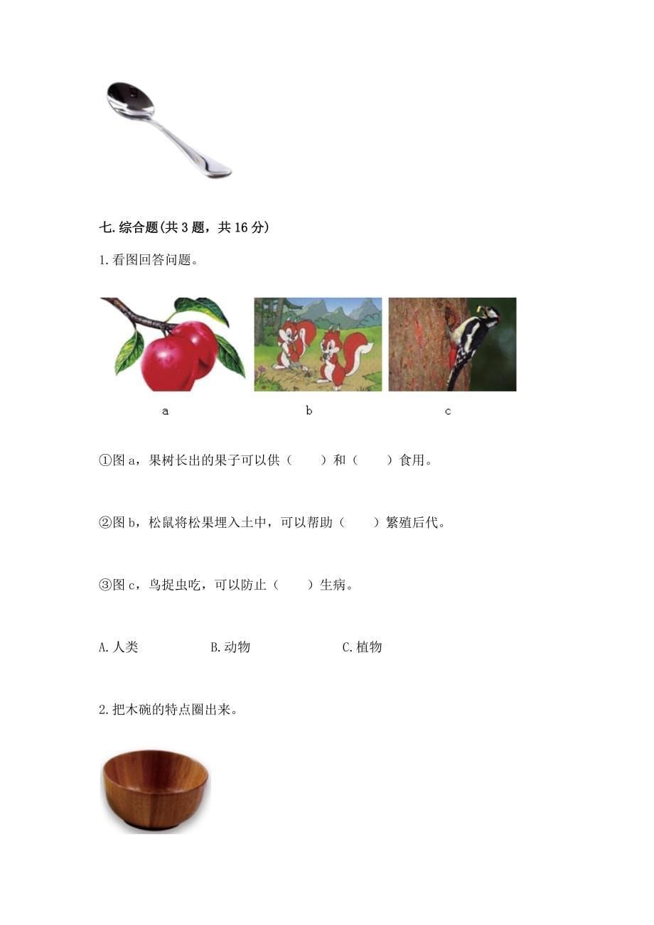 教科版小学二年级上册科学期末测试卷含答案(a卷).docx_第5页