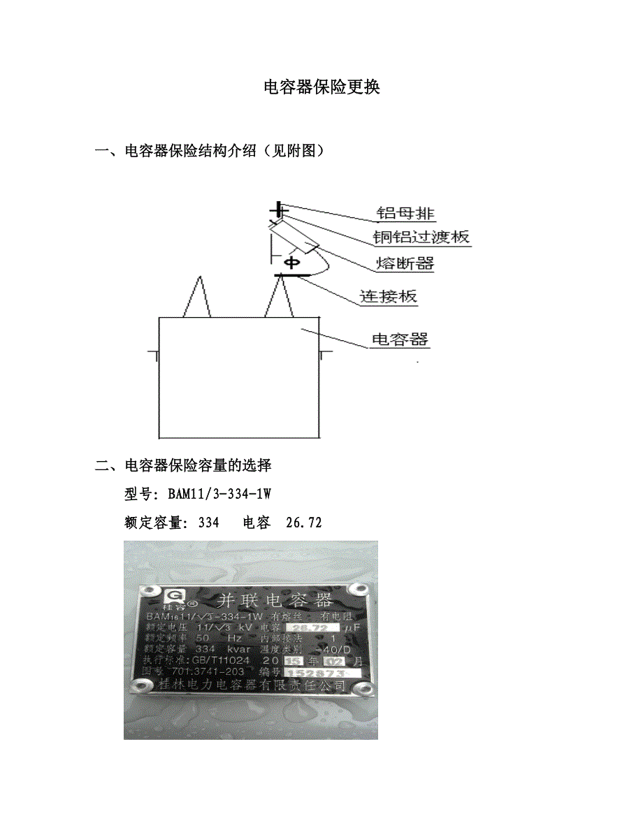 电容器保险更换课件_第1页