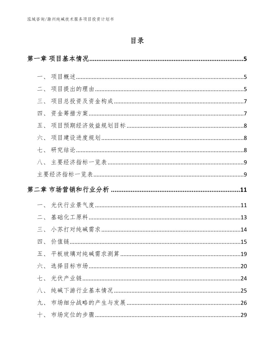 滁州纯碱技术服务项目投资计划书_第1页