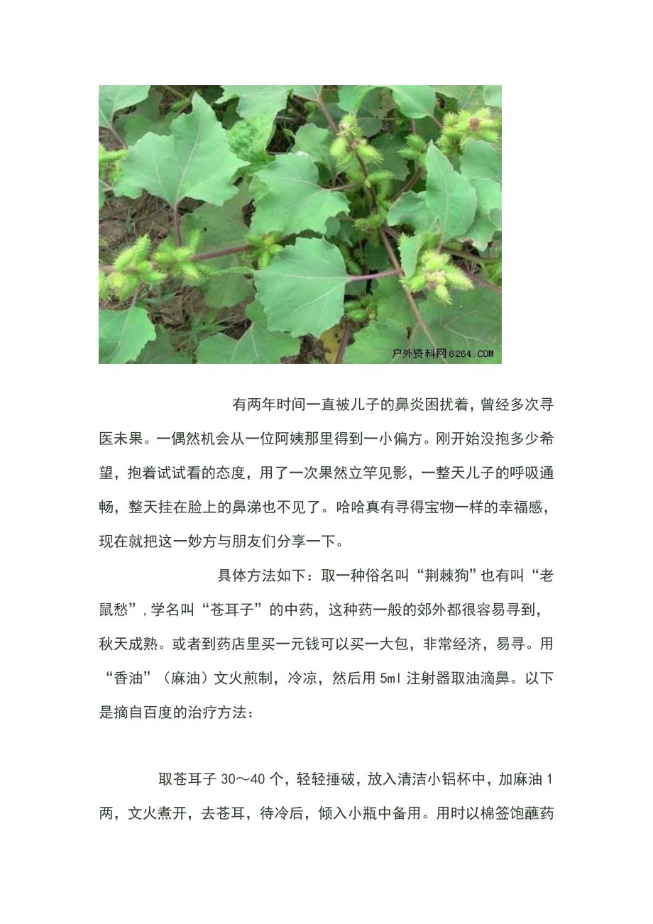 治疗鼻炎最有效的方法.doc_第2页