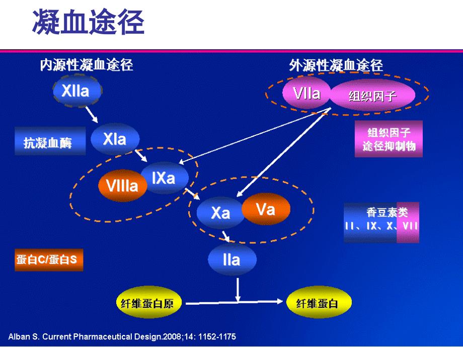 凝血系统的个体化用药探讨423_第4页